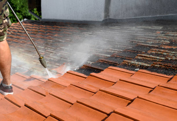 Best Roof Pressure Washing  in Pinehurst, TX
